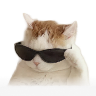 Cat wearing sunglasses
